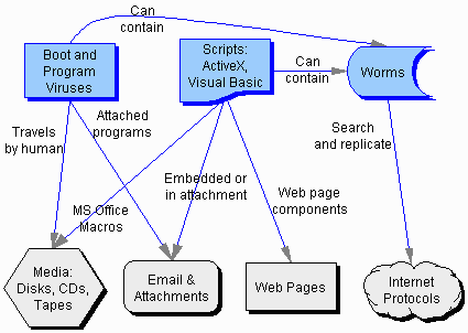 Virus (Boot, Script, Macro, Worm) Families and Habitats